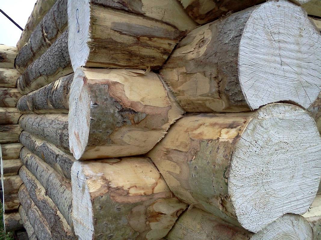 Виды древесины для бани и сауны: преимущества и недостатки