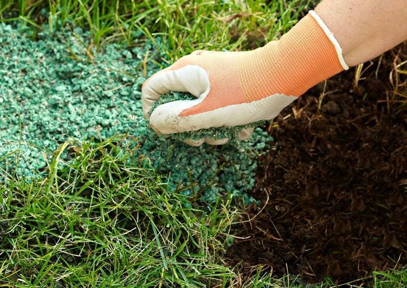 Как сажать газонную траву - подготовка участка под газон своими руками