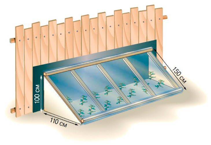 Парник на подоконник: домашняя теплица - мини-вариант для рассады на окне квартиры, тепличка на балконе в домашних условиях