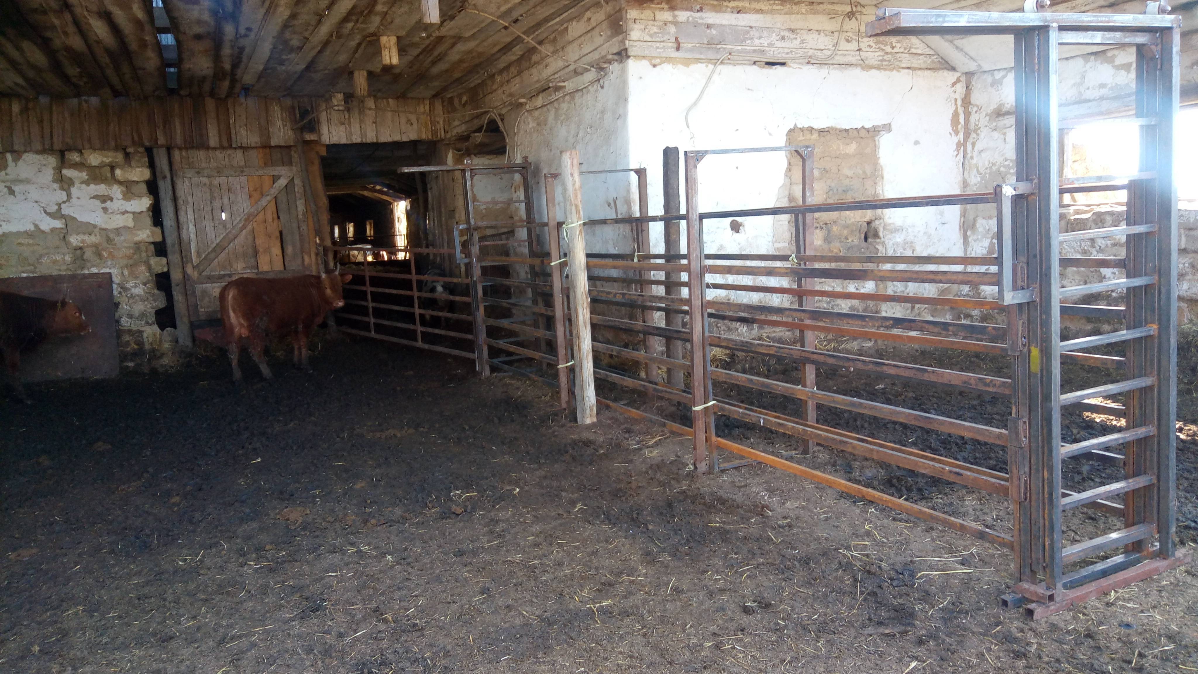 Сарай для овец — выбор материала, пошаговая инструкция строительства, обустройство помещения