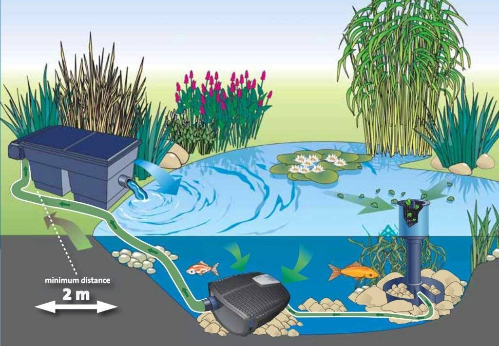Пруд на даче: виды и назначение искусственных водоёмов, советы по созданию домашнего озера своими руками