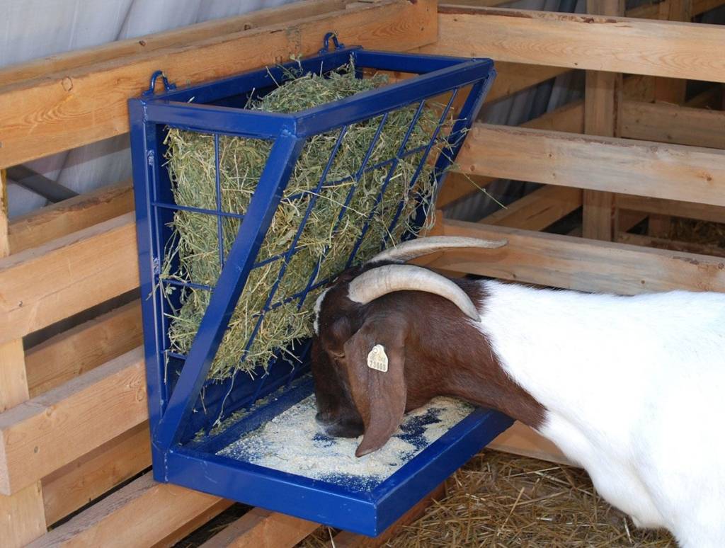 Кормушки для коз под сено: как сделать своими руками?