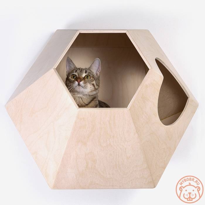 Как сделать домик для кошки своими руками: пошаговая инструкция, чертежи, фото