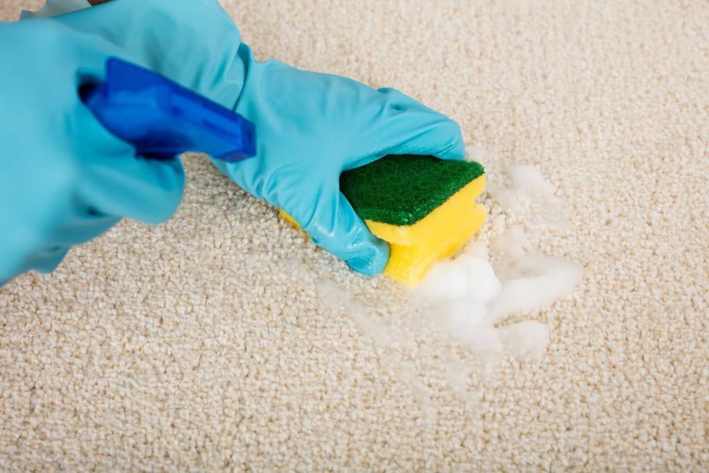 Как почистить ковер: рекомендации по быстрой и эффективной очистке ковровых покрытий своими руками