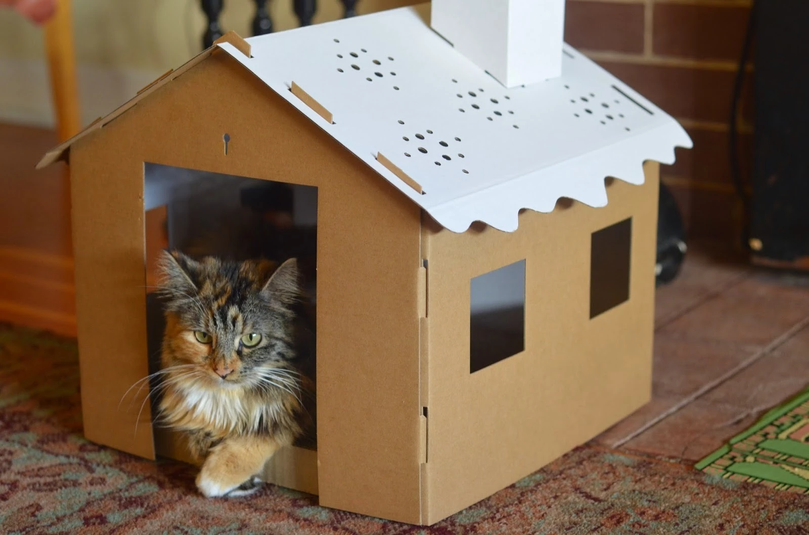 Кошкин дом домик котят