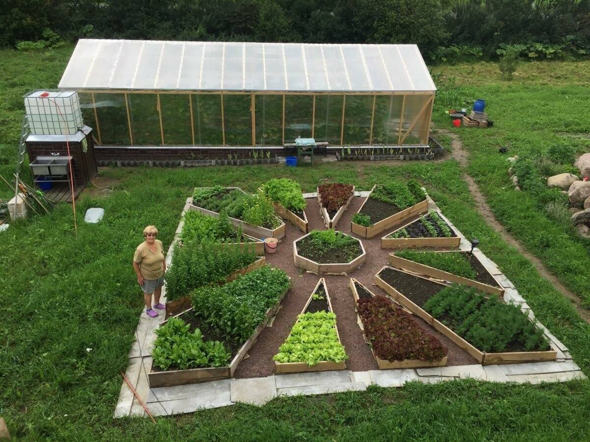 Планировка сада и огорода на участке: советы профессионала
