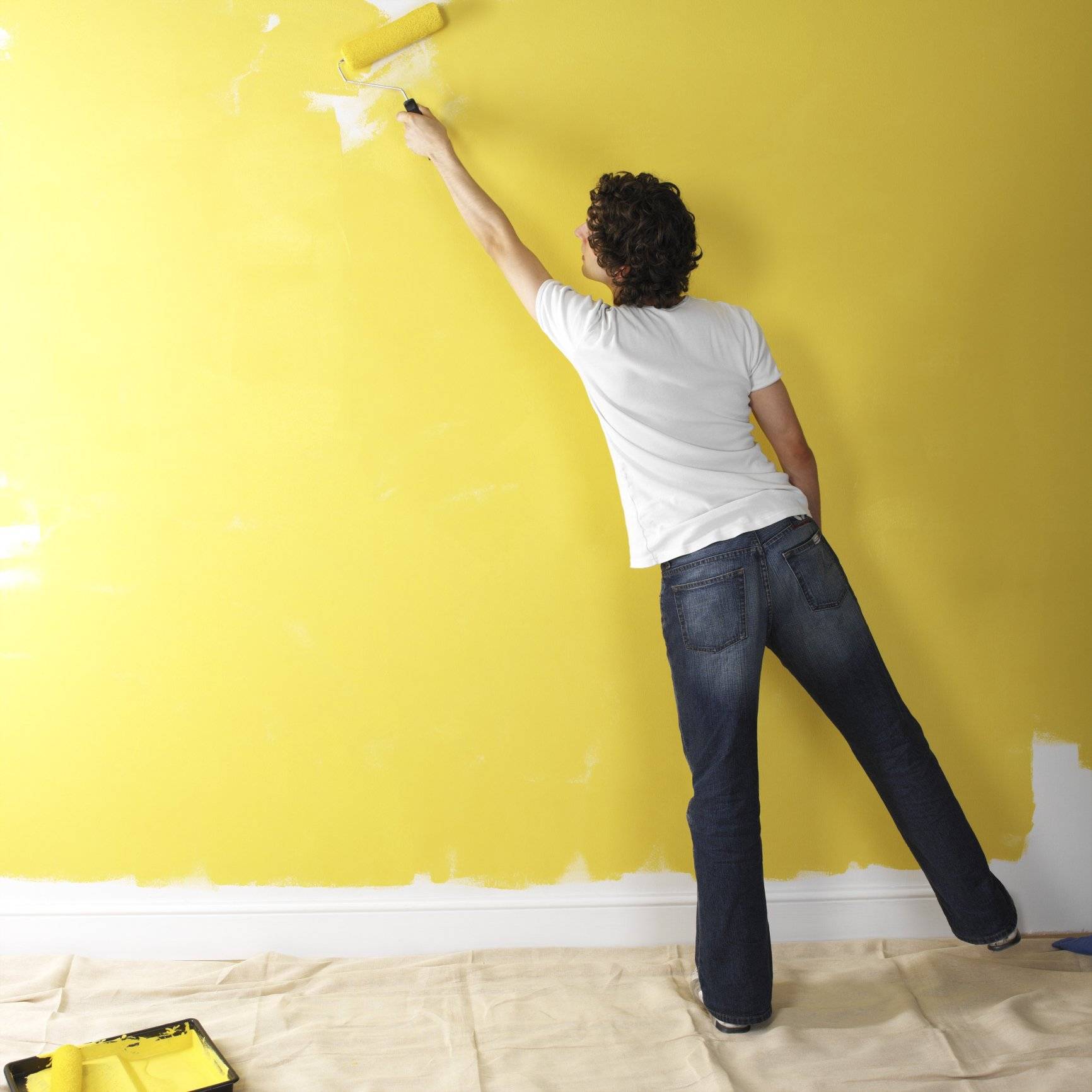 Обои или покраска стен: что лучше, дешевле и практичней