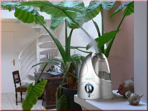 Увлажнение воздуха в квартире без увлажнителя: 10 лучших способов — вентиляция и кондиционирование