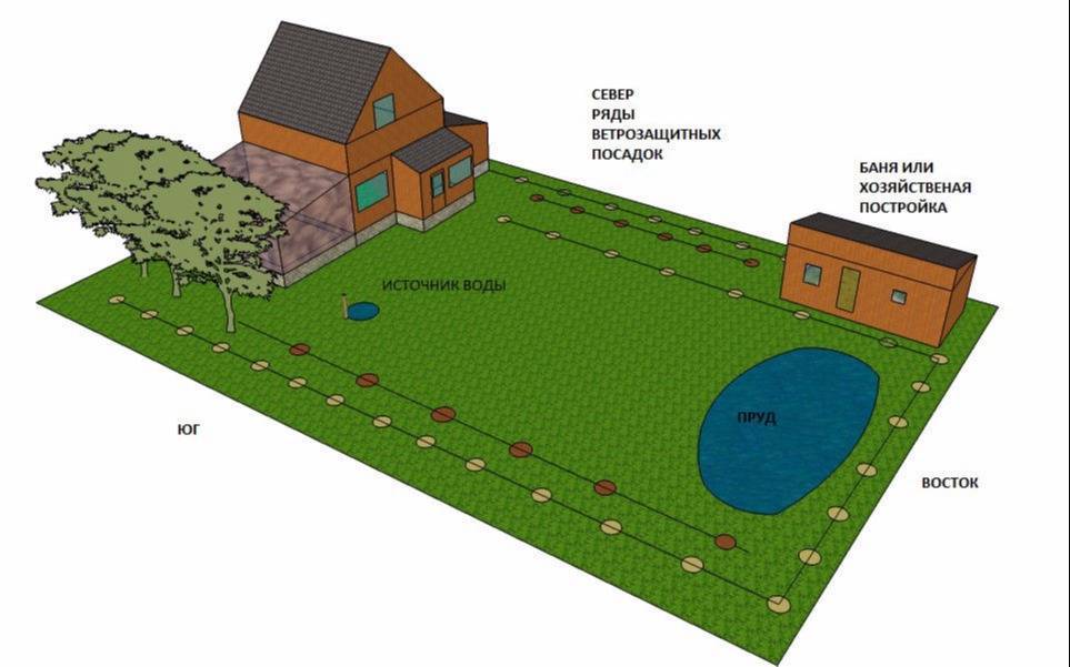 Как правильно земельный участок. Расположение построек на участке. Размещение бани на участке. Расположение бани на участке. Правильное расположение на участке.