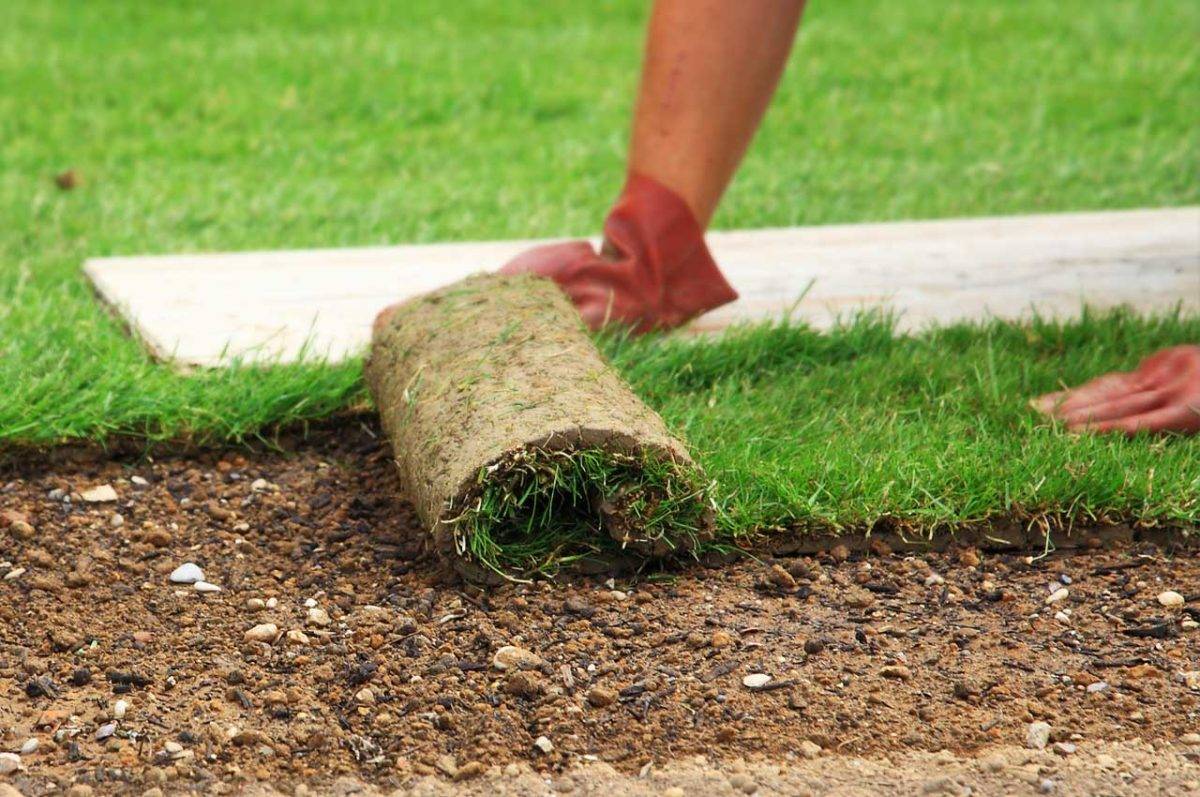 Важный этап в разбивке газона: подготовка участка и грунта под посев травы