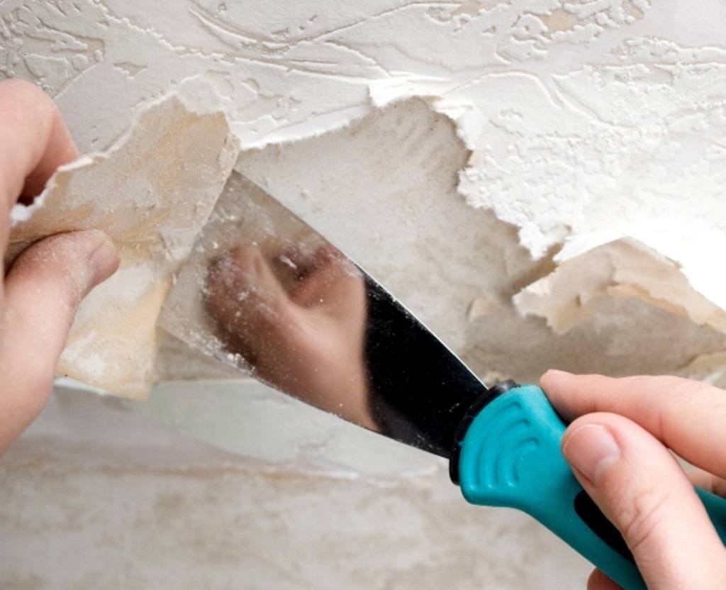 Очистка стен от старых обоев и краски: убираем плесень и старую штукатурку
