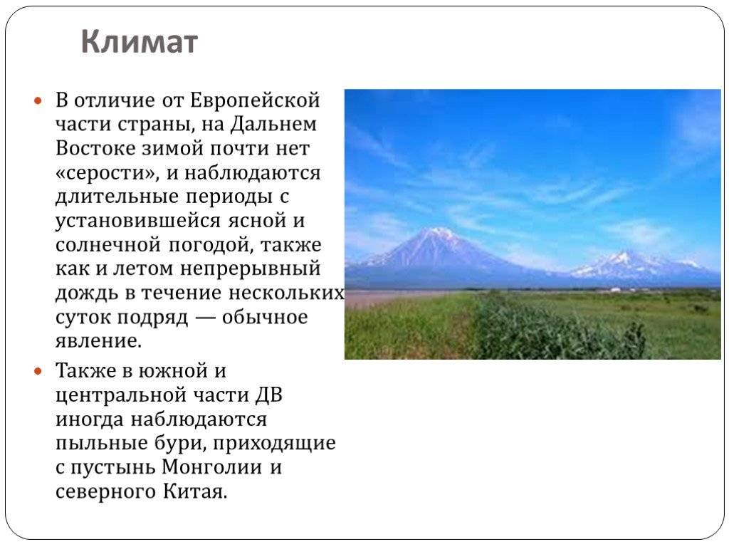 Ооо "климат дв", владивосток, проверка по инн 2538099230