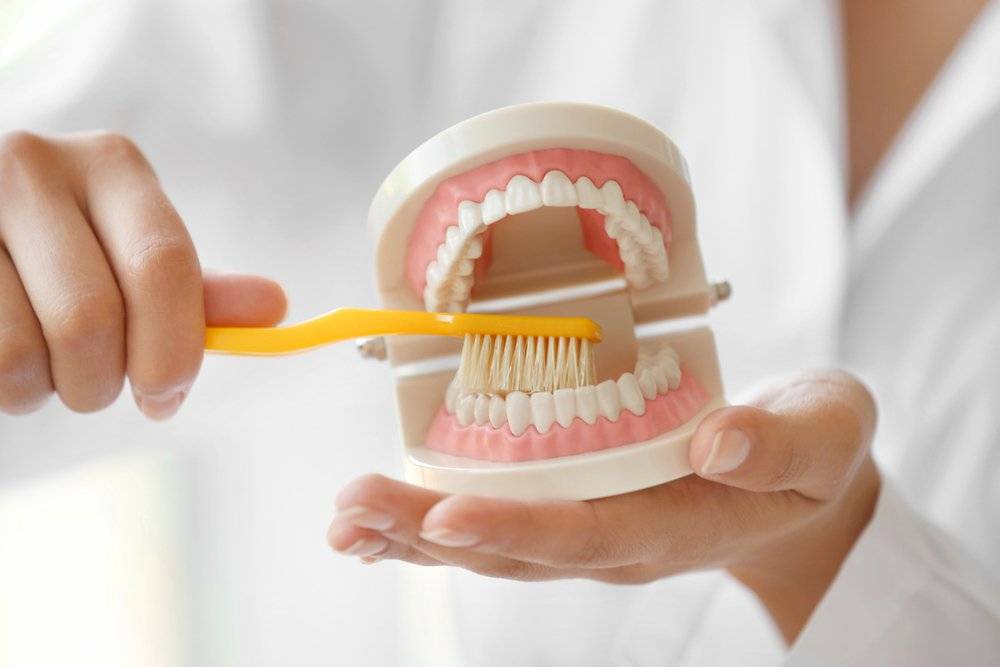 Как правильно ухаживать за зубами дома - советы стоматологов
