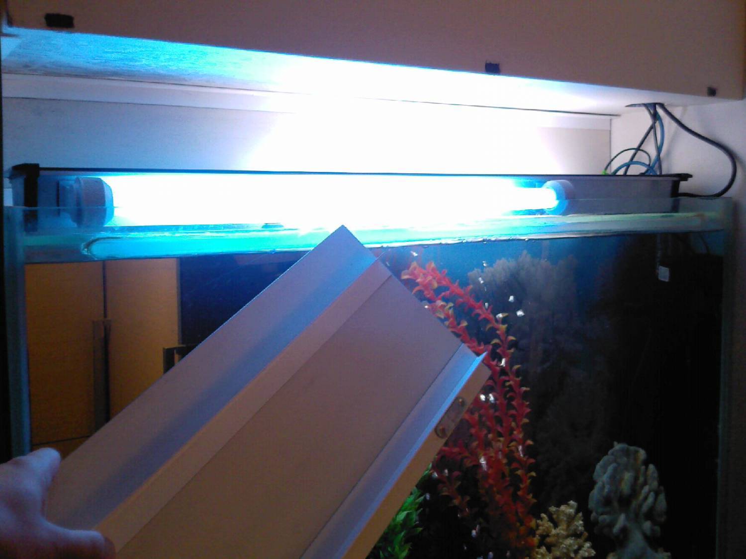 3 варианта крышки для аквариума - освещение светодиодными, люминесцентными лампами и led лентой.