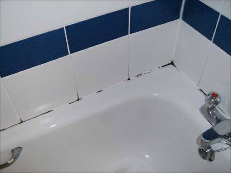 Грибок в ванной: как избавиться и не допустить появление в квартире и на потолке, чем лучше удалить и убрать бактерии, детальное фото и видео