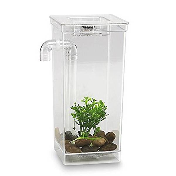 Акваферма — компактный огород и аквариум у вас на кухне