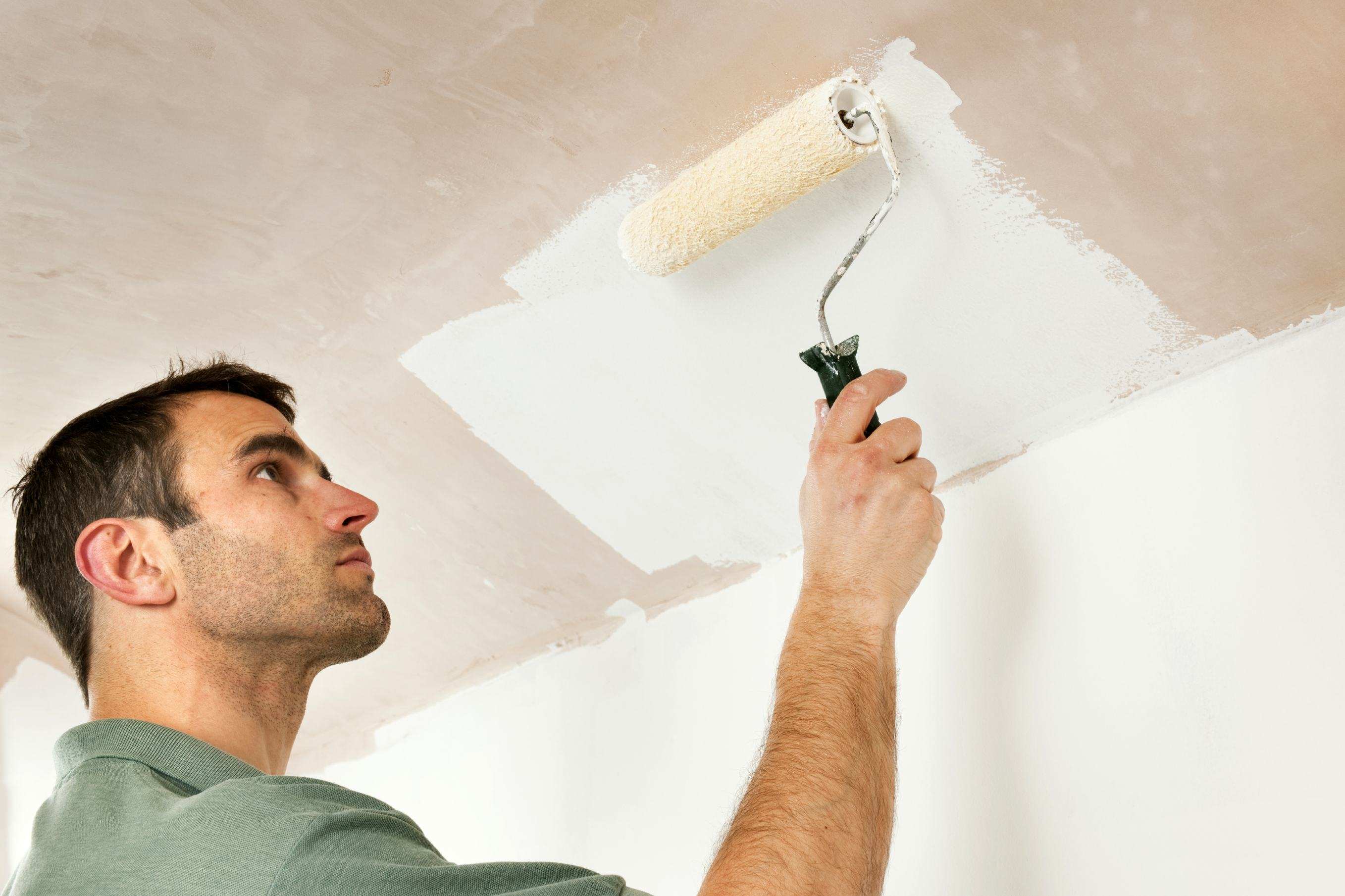 Как и чем правильно белить потолок в доме или квартире, выбираем валик для побелки