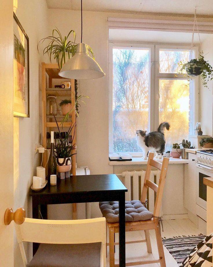 35 способов как сделать квартиру уютной без ремонта