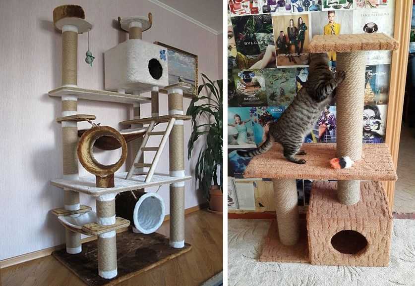 Домики для кошек с когтеточкой — хорошая идея для бизнеса! – reconomica — истории из жизни реальных людей