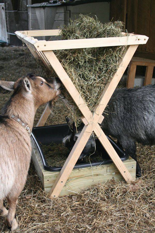 Кормушка для козы своими руками – фото, чертежи и размеры