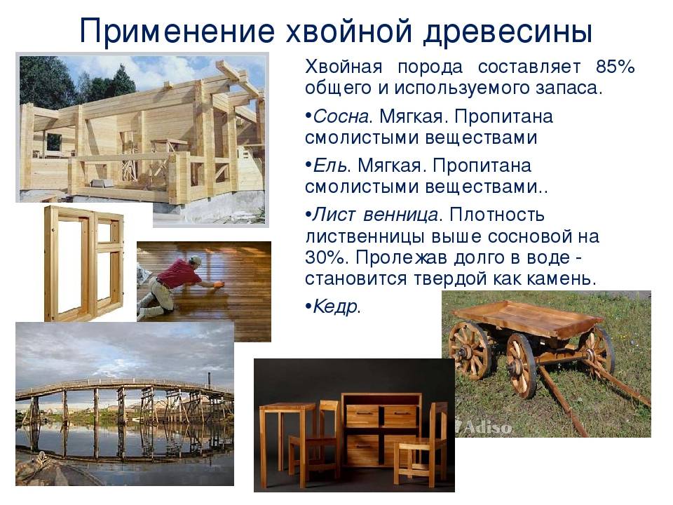 Выбираем древесину для строительства