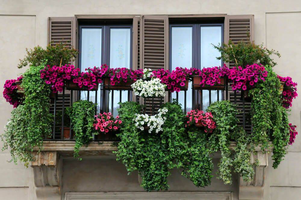 Оформление балкона цветами, полезные советы и идеи, в чем выращивать и как разместить растения - 26 фото