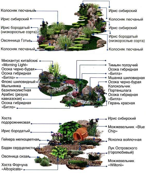 Альпийские горки в ландшафтном дизайне: как можно сделать своими руками, фото горки с водопадом, какие растения можно сажать, описание растений