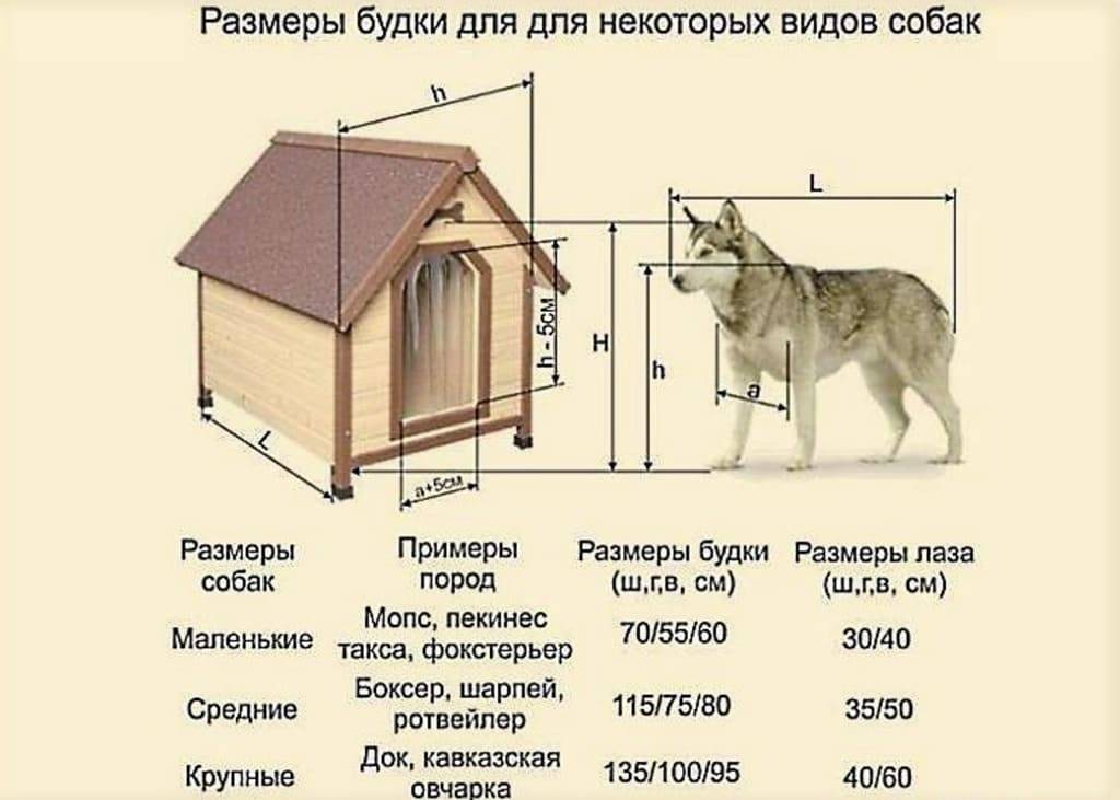 Будка для собаки размеры | как расчитать | таблица соответствия породам