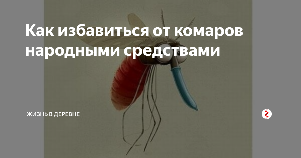 Прочь, кровососы: эффективный фумигатор от комаров всего за 10 рублей