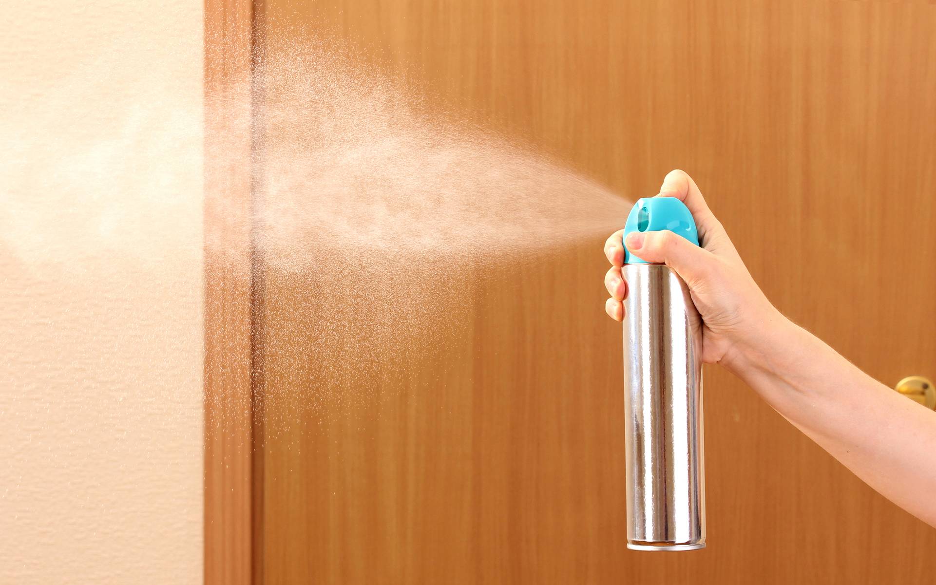13 способов, с помощью которых можно очистить и освежить воздух в доме