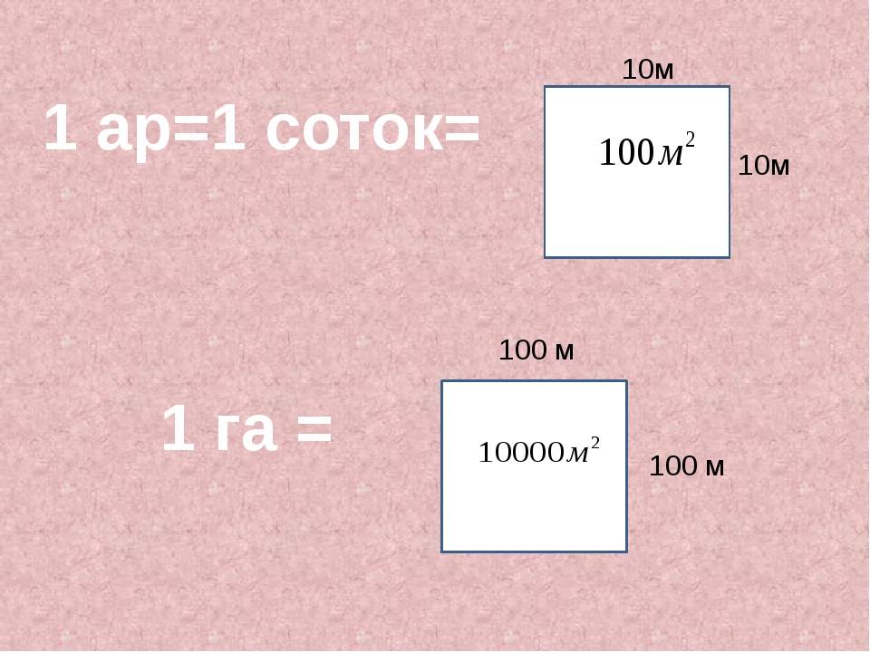 Две сотки это сколько квадратных метров фото