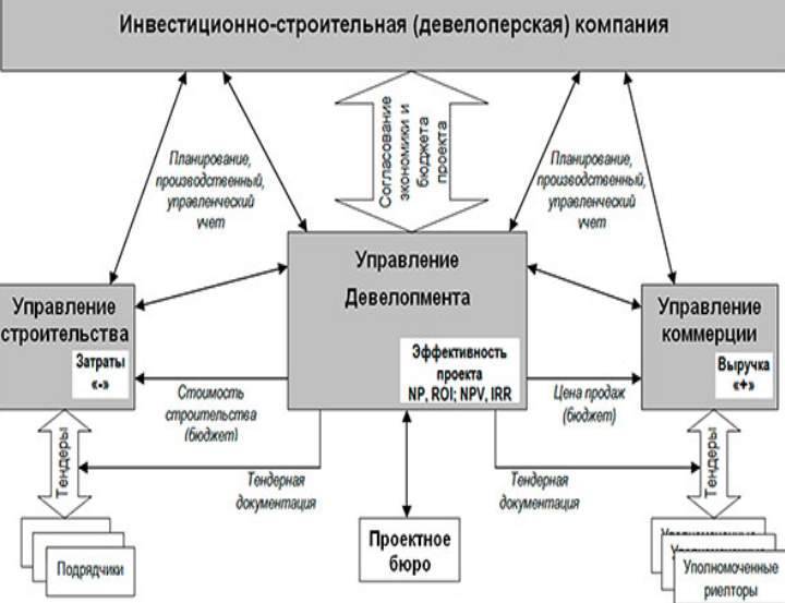 Что такое девелопер, почему слово застройщик уже немодно