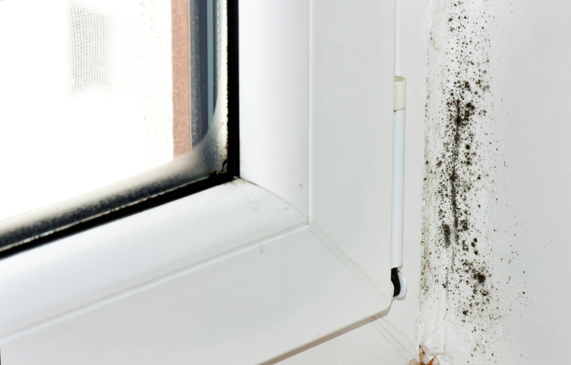 Конденсат на окнах внутри квартиры - что делать и как бороться
