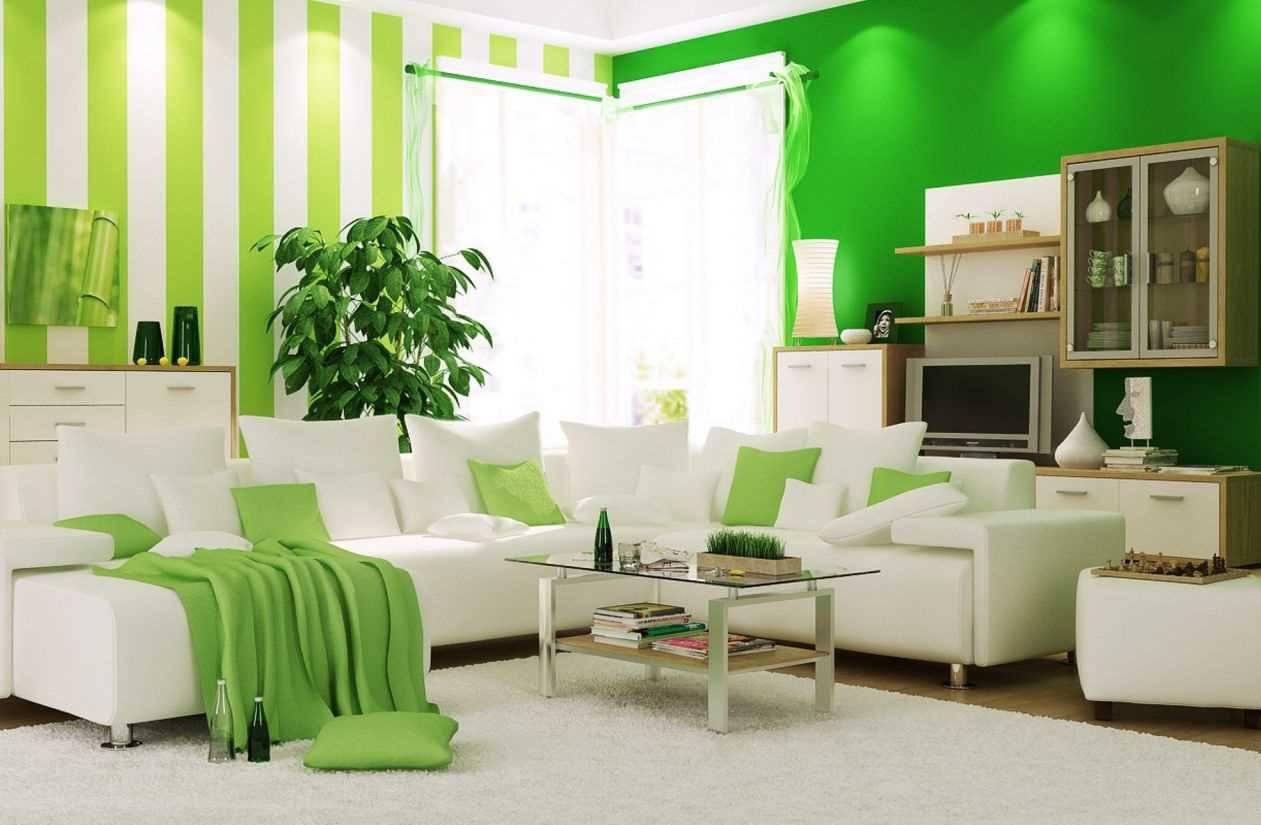 Зеленые обои для оформления стен в доме: удачные комбинации цветов +фото и видео