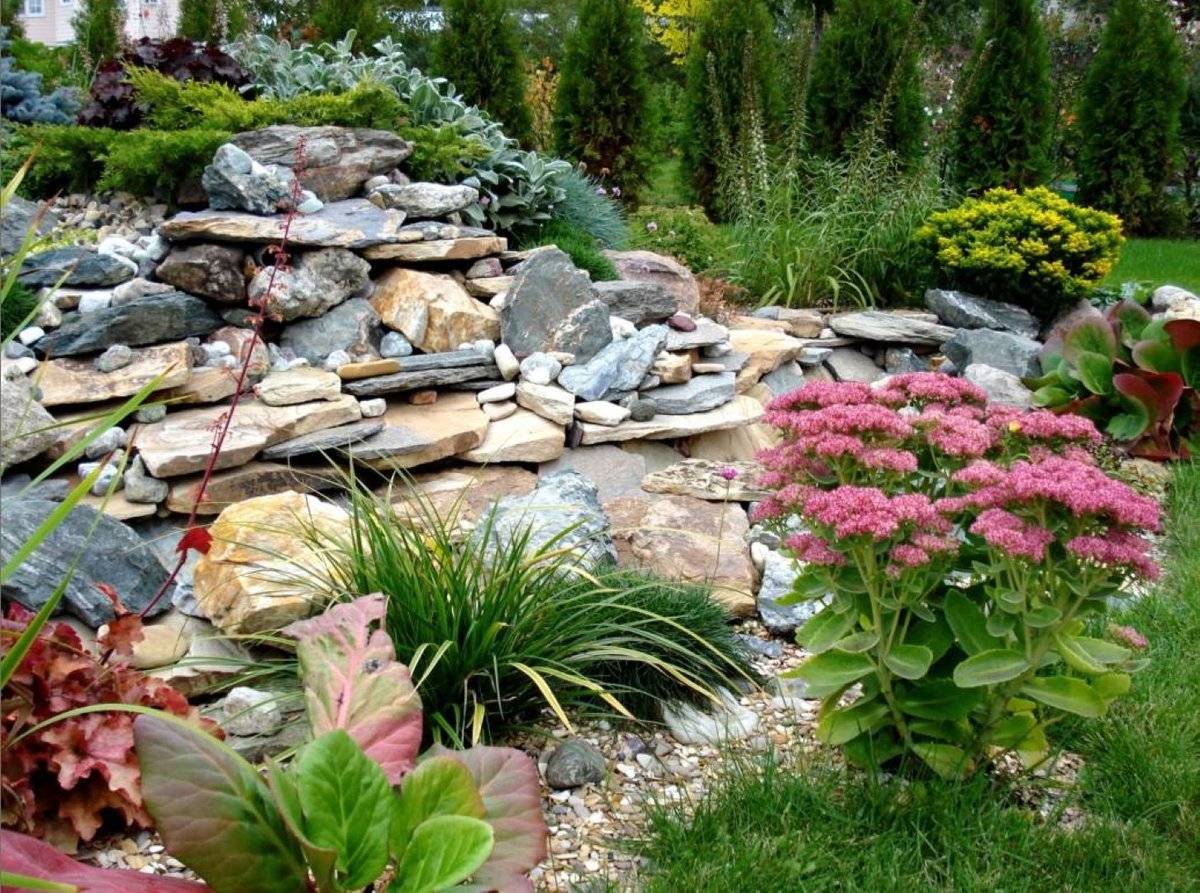 Рокарий в ландшафтном дизайне: что такое, сад из камней в саду, устройство, мини рокарий своими руками, пошаговые фото схемы | qlumba.com