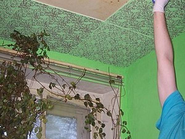 Окрашивание потолочной плитки из пенопласта водоэмульсионкой