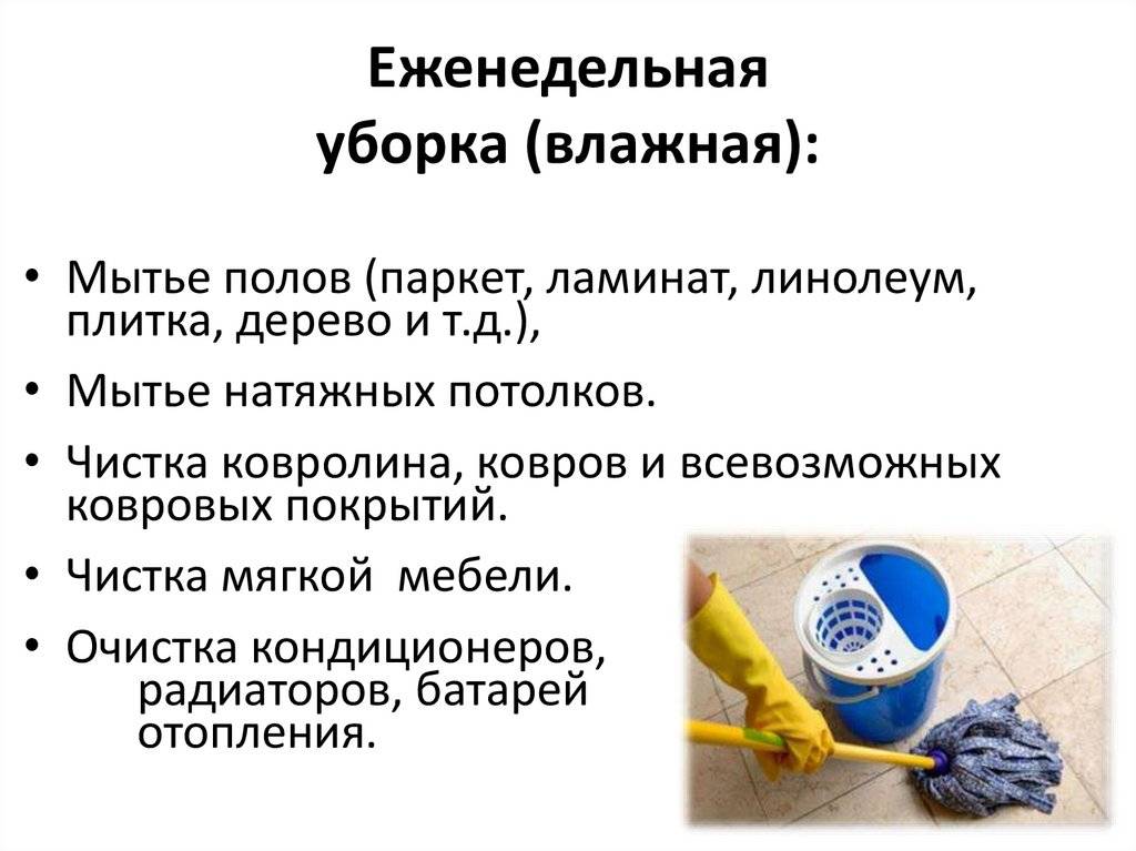 Как эффективно продезинфицировать квартиру от вирусов и бактерий