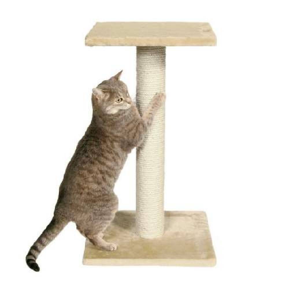 Когтеточка для кошки своими руками - 8 идей как сделать, инструкция и мастер-классы (фото)
