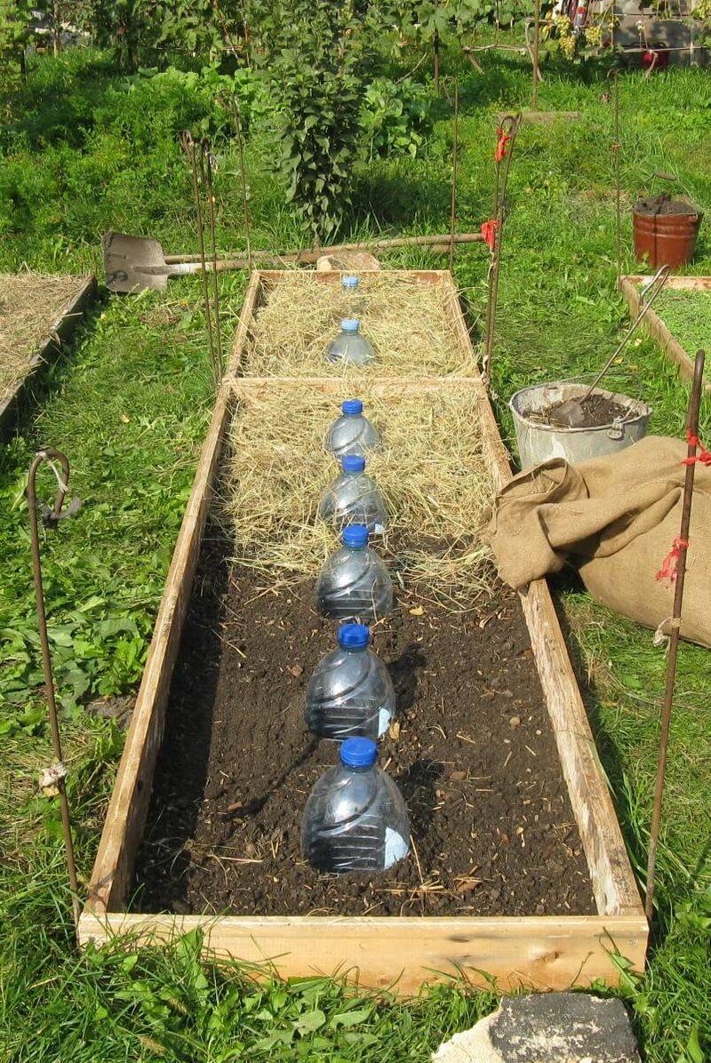 Как сделать капельный полив для огорода своими руками