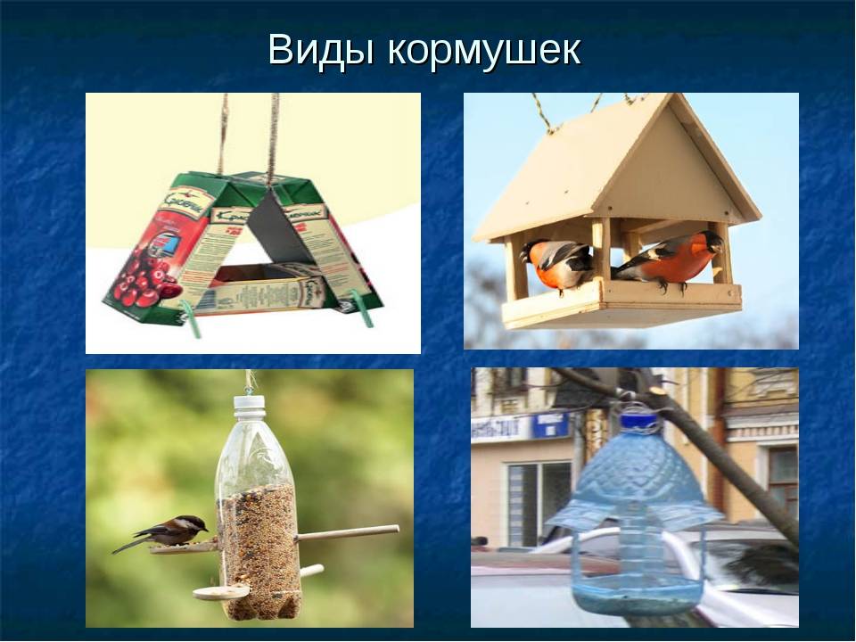 Кормушка для птиц своими руками: 12 оригинальных идей, как сделать из бутылки, коробки, дерева (фото)