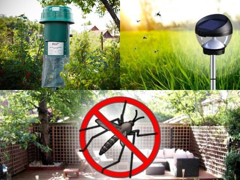 Как избавиться от комаров на дачном участке: рейтинг самых эффективных методов