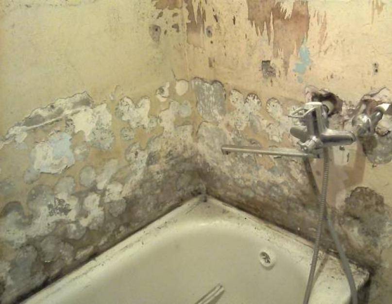 Укладка плитки в ванной своими руками - строительство и ремонт