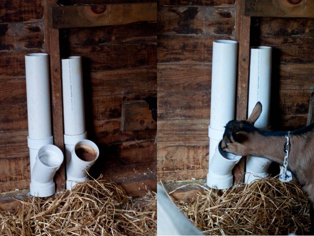 Кормушка для коз под сено и иное: как правильно сделать своими руками из сетки и прочих материалов или купить, а также фото и чертежи