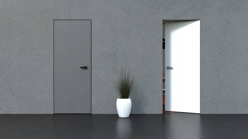 Двери без наличников — решения для современного интерьера