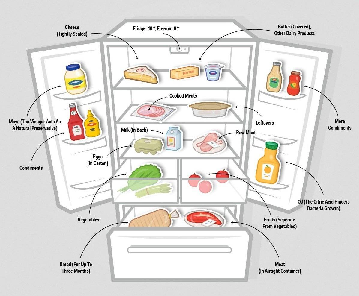 Оптимальная температура для хранения продуктов в холодильнике и морозильной камере
