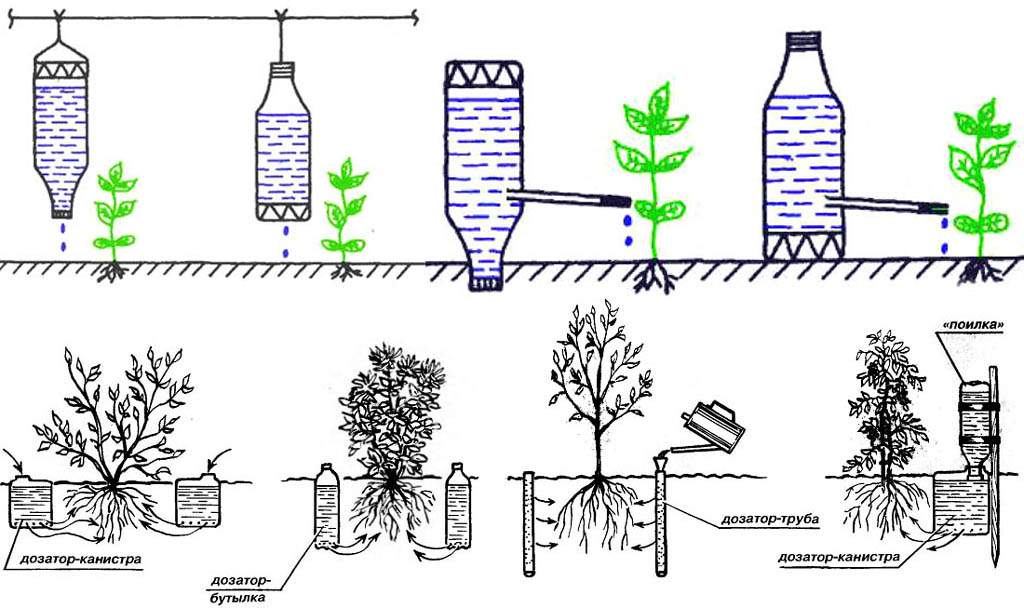Капельный полив в теплице: автоматическая система полива в парнике, поливка растений своими руками, устройство, схема