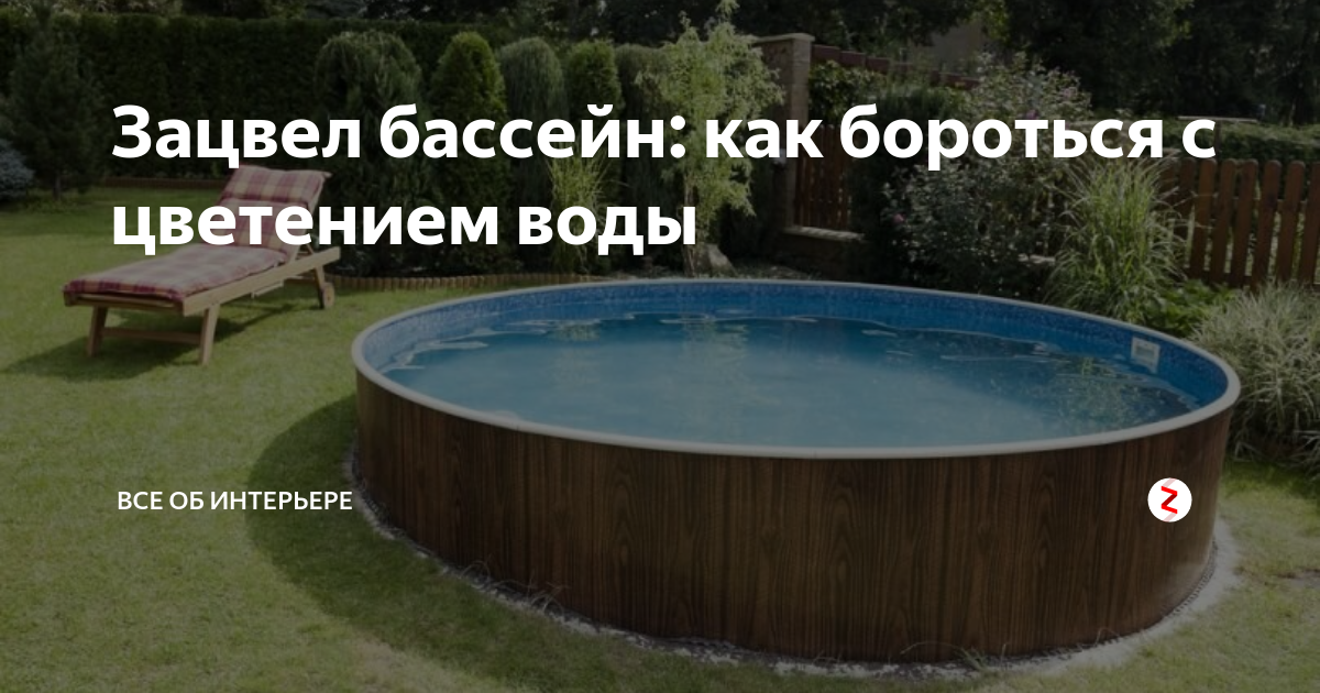 Зеленеет вода в бассейне: что делать