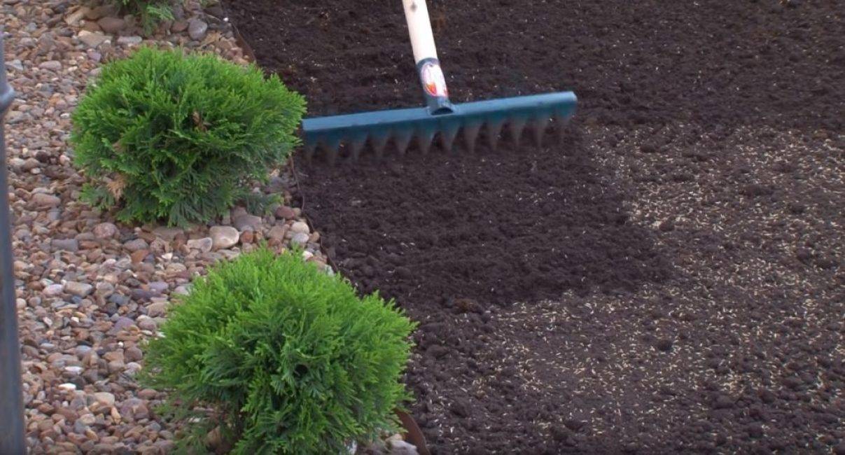 Подготовка участка под газон — от расчистки территории до перекапывания почвы и выравнивания