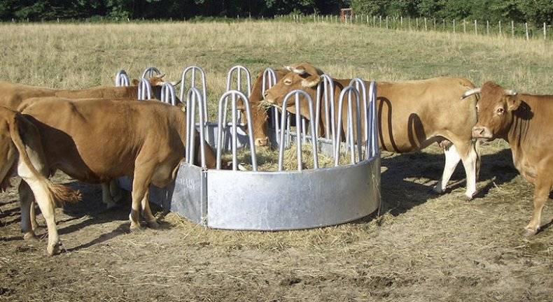 Кормушка для коров своими руками - тонкости изготовления, полезные советы