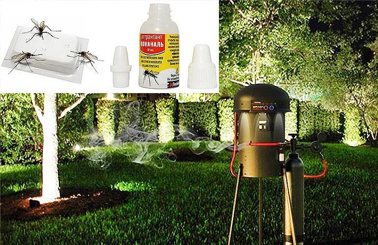 Обработка участка от комаров, выбор средств для уничтожения насекомых по периметру дачи, меры предосторожности